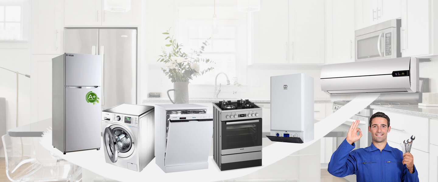 Havran Dominox Servisi